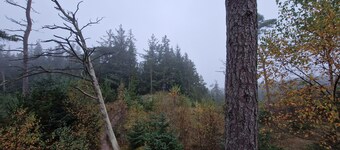 Urlaub auf dem Bauernhof im Beliebten Ferienort Tversted ca 800 m vom Strand