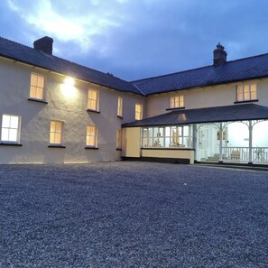 Terrace/patio - The Monkey Puzzle (Bunclody)
