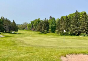 View from property - Charming 1BDR Condo w Golf Course View (Williamsburg)