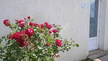 DĂ©tail de lâextĂ©rieur