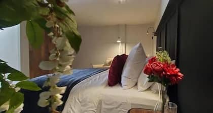 1Bed/1bath Private suite; San Juan/Mt Hope/ POS