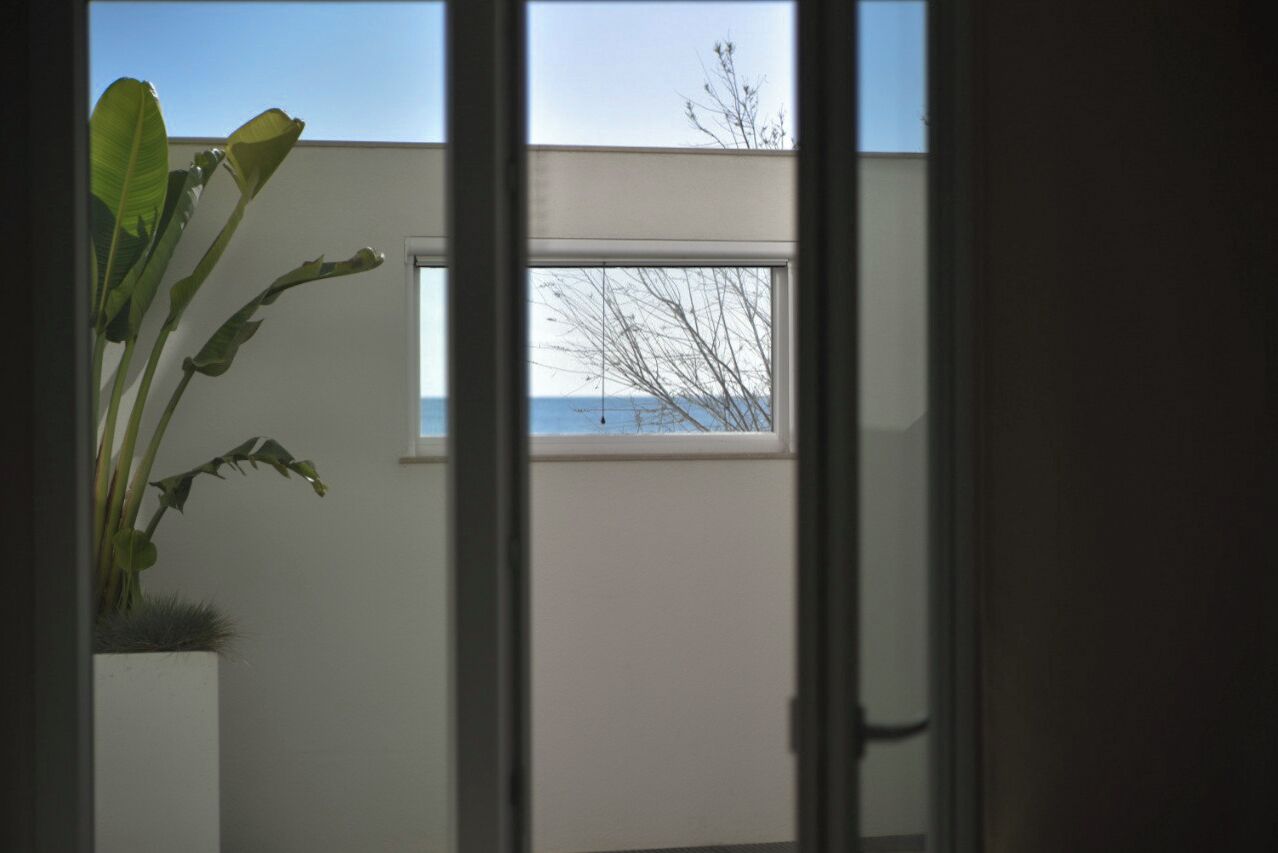 Blick durch ein Fenster auf ein Gebäude und eine Pflanze draußen.