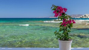 A potted bougainvillea plant with a clear view of a turquoise sea and rocky coastline in the background. - Esperanza Boathouse (Mandrakia)