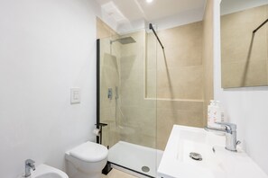 Shower, hair dryer, bidet, towels