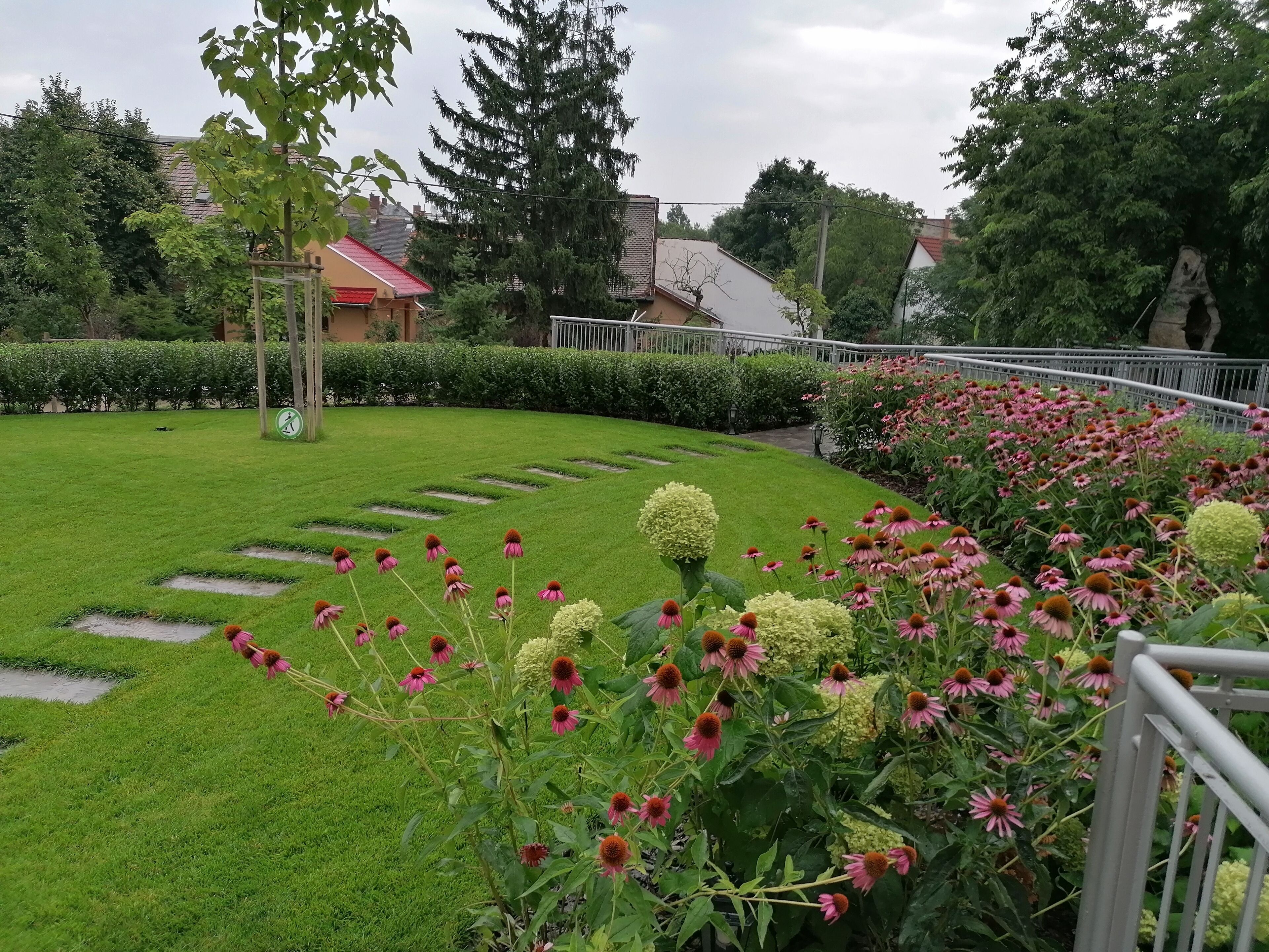 Foto - Tóni Villa