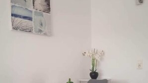 未分类图片，第 3 张，共 13 张，按钮