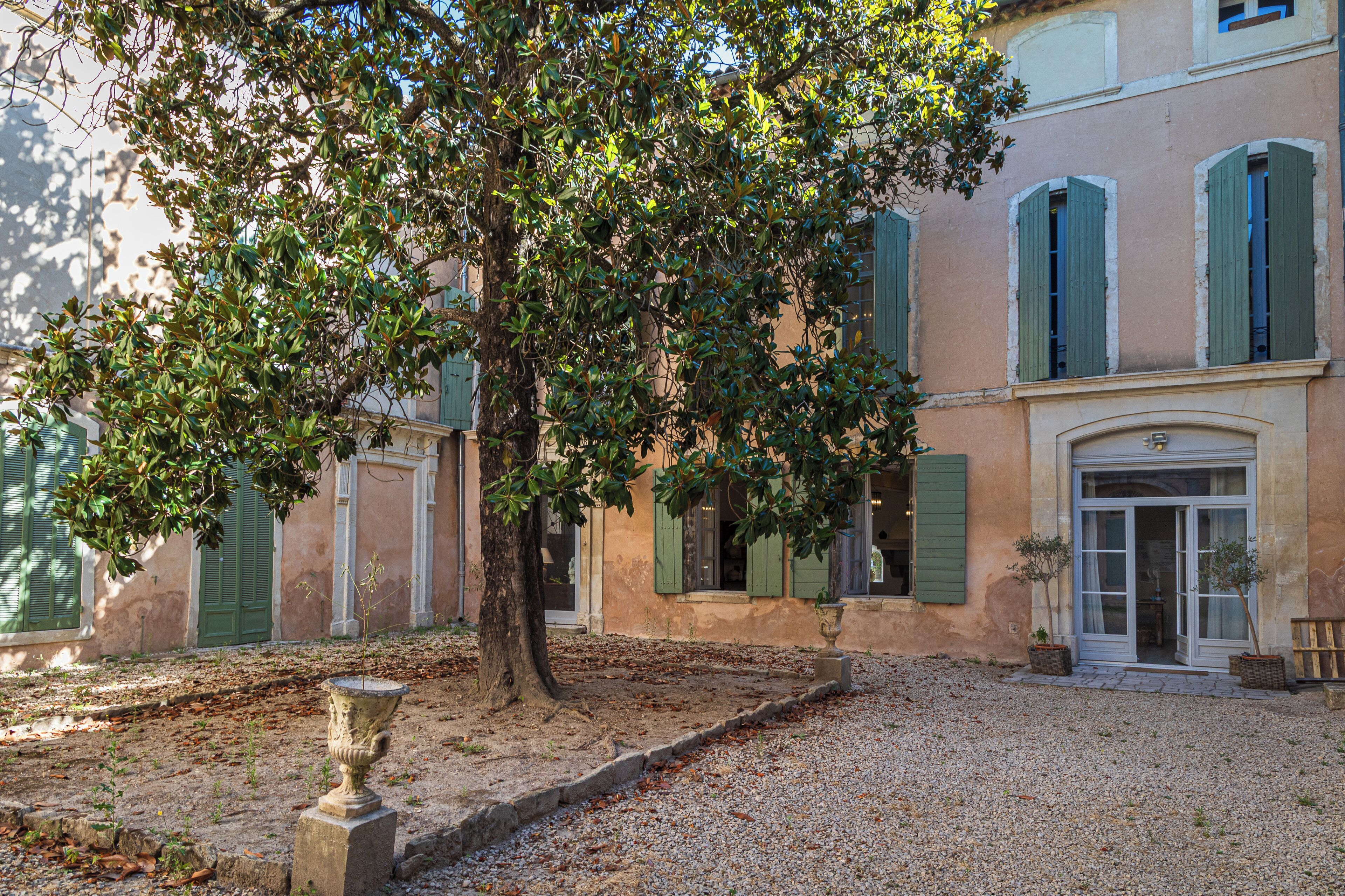 Cour
