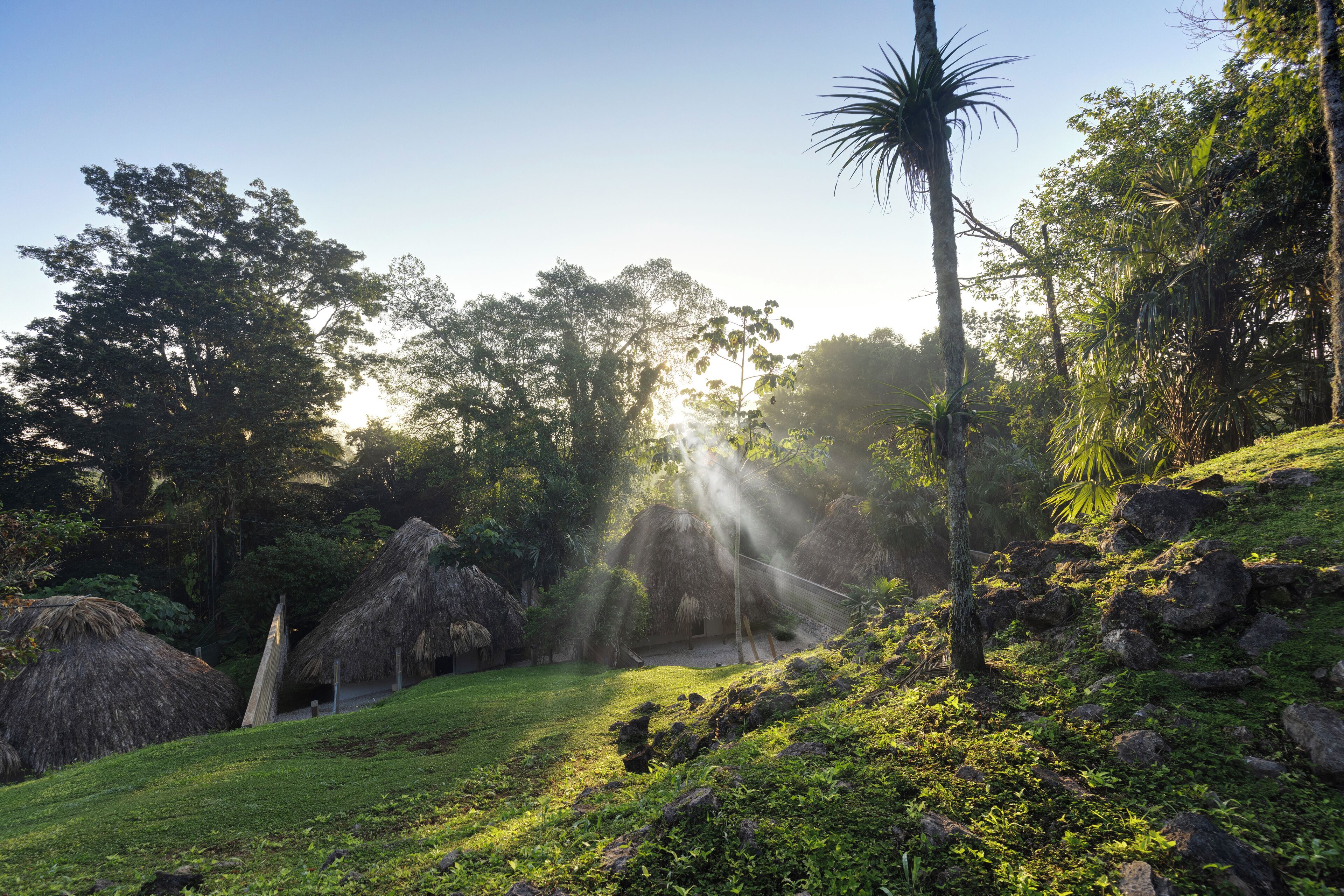 Un paisaje exuberante y verde con chozas de techo de paja, una palmera y un cielo despejado.