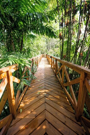 Chambre Familiale | Vue de la chambre