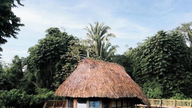A thatched-roof structure with a wooden deck, surrounded by lush greenery and a clear sky. - Jade Jungle Resort (Teakettle Village)
