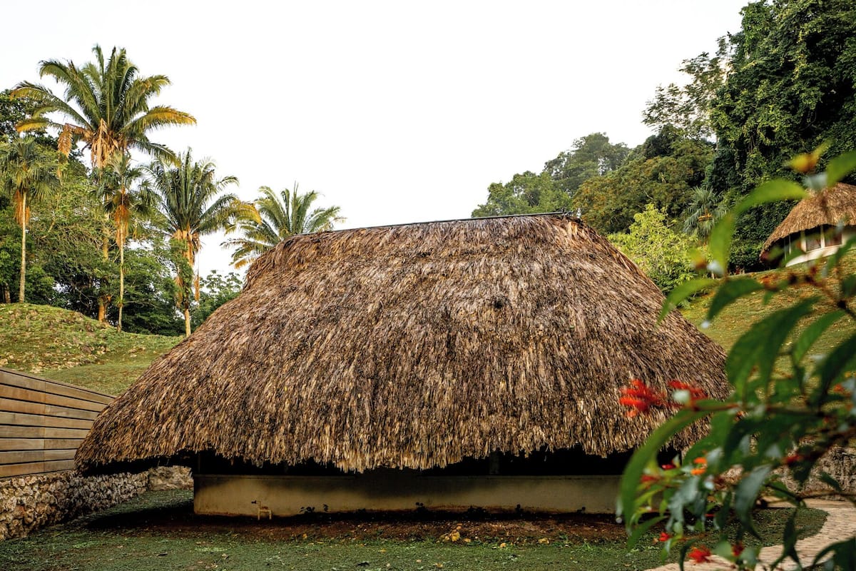 A thatched-roof structure with a stone pathway leading to it, surrounded by greenery and palm trees.