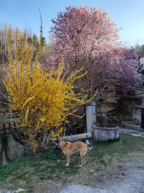 Property grounds - Appartement Aiguilles de Chabriere Entre lac et Montagne (Crots)