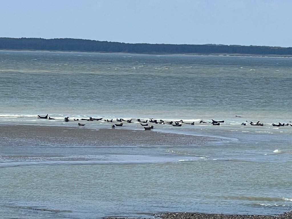 海灘