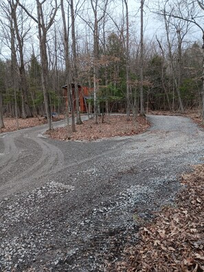 A gravel path leading to a rustic cabin surrounded by trees. - The "Cozy Cabin."......ask about our September cabin & golf deal !! (Canajoharie)