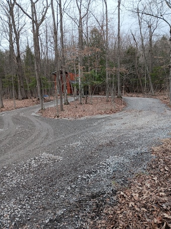 Property grounds. The "Cozy Cabin."