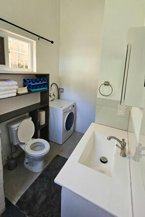 Shower, bidet, towels, soap