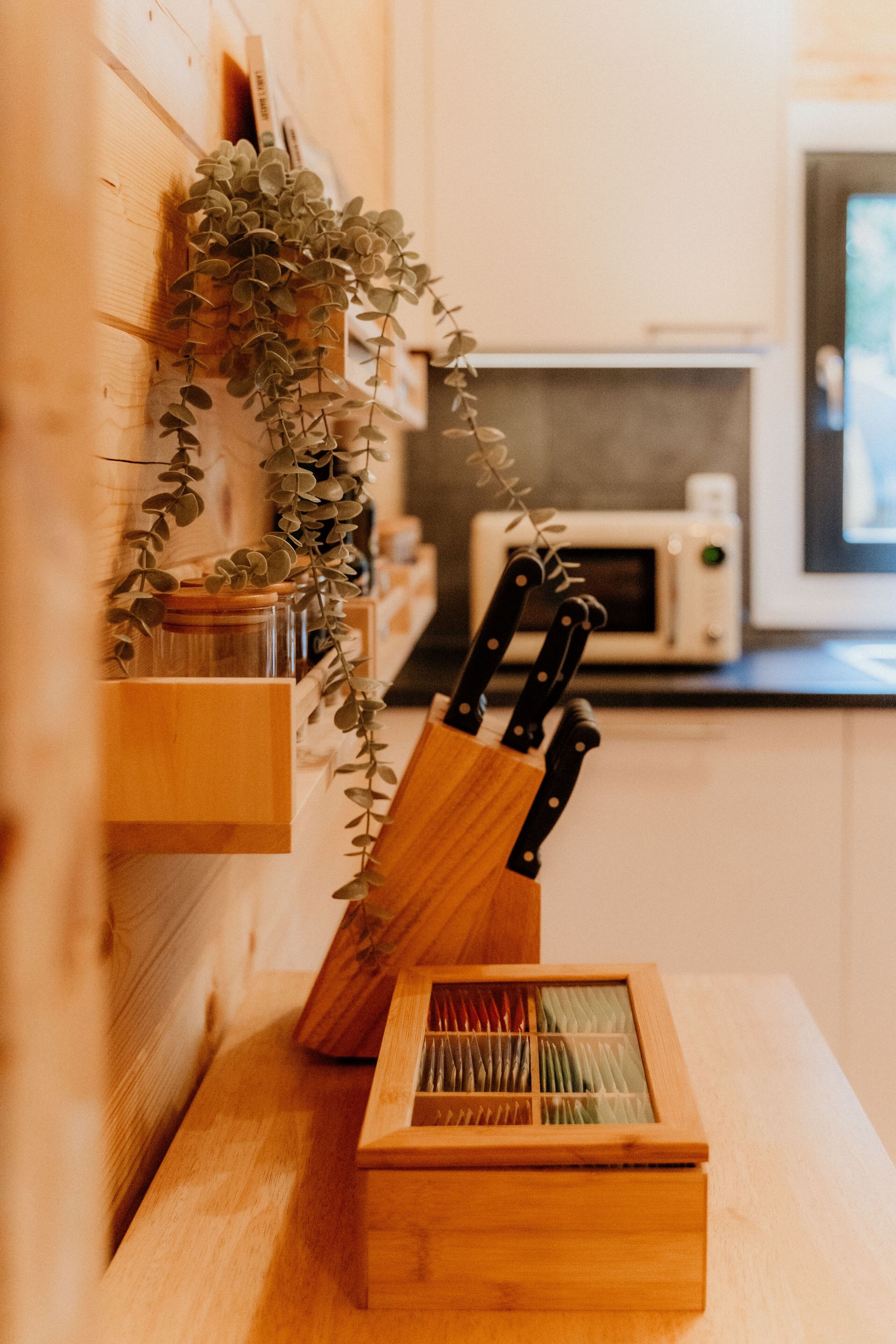 A kitchen counter with a knife block, a plant, and a microwave.