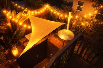 The Venice Beachwood