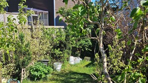 Unclassified image, 3 of 19, button - Cozy Pet Friendly Home  (St. John's)