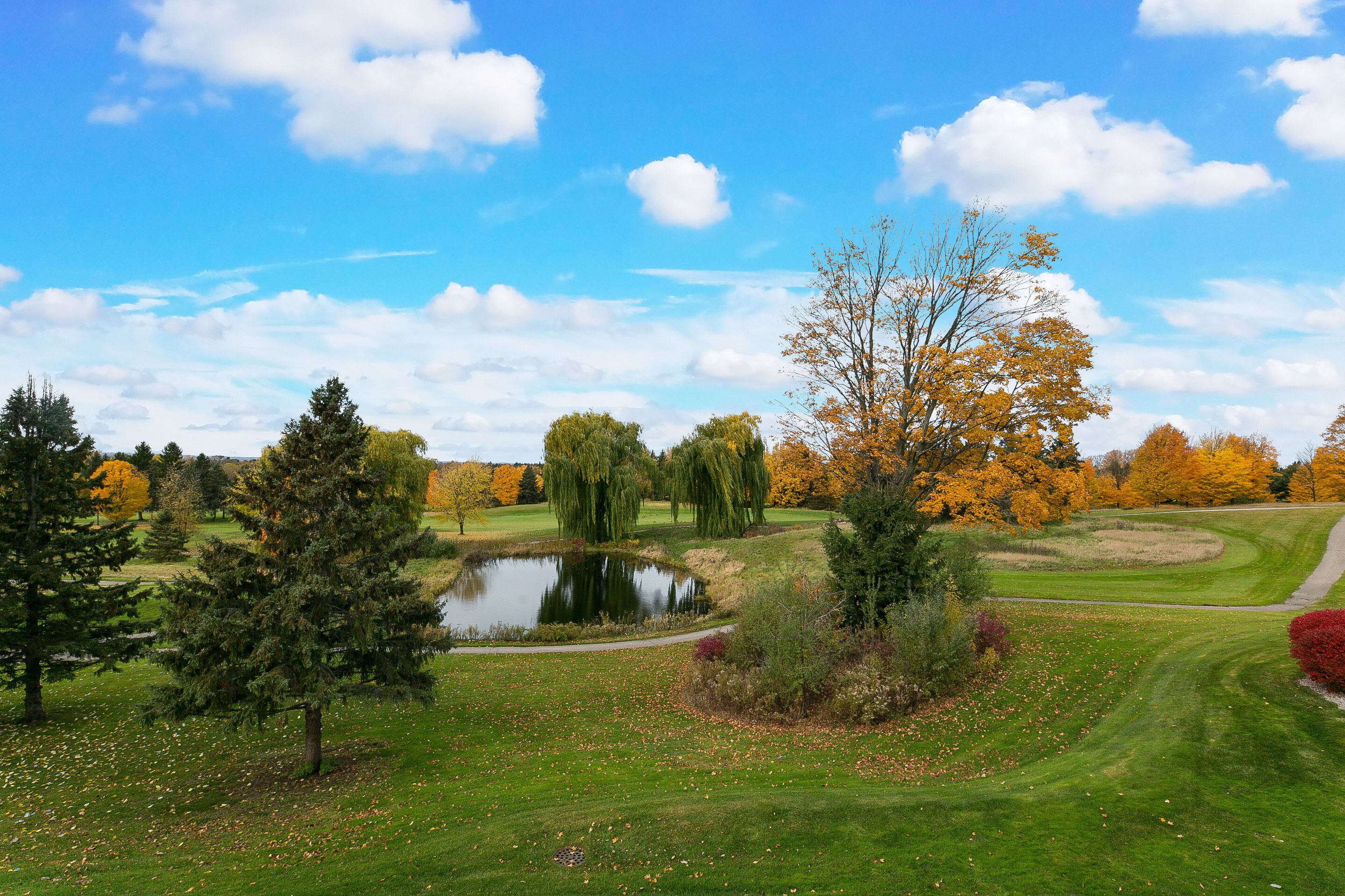 A golf course with a pond, trees, and a clear sky.