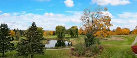 A golf course with a pond, trees, and a clear sky.