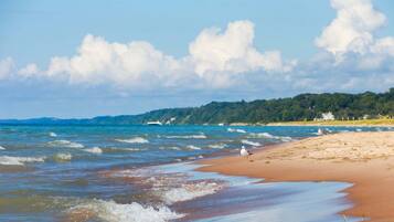 Luxury Apartment | Interior