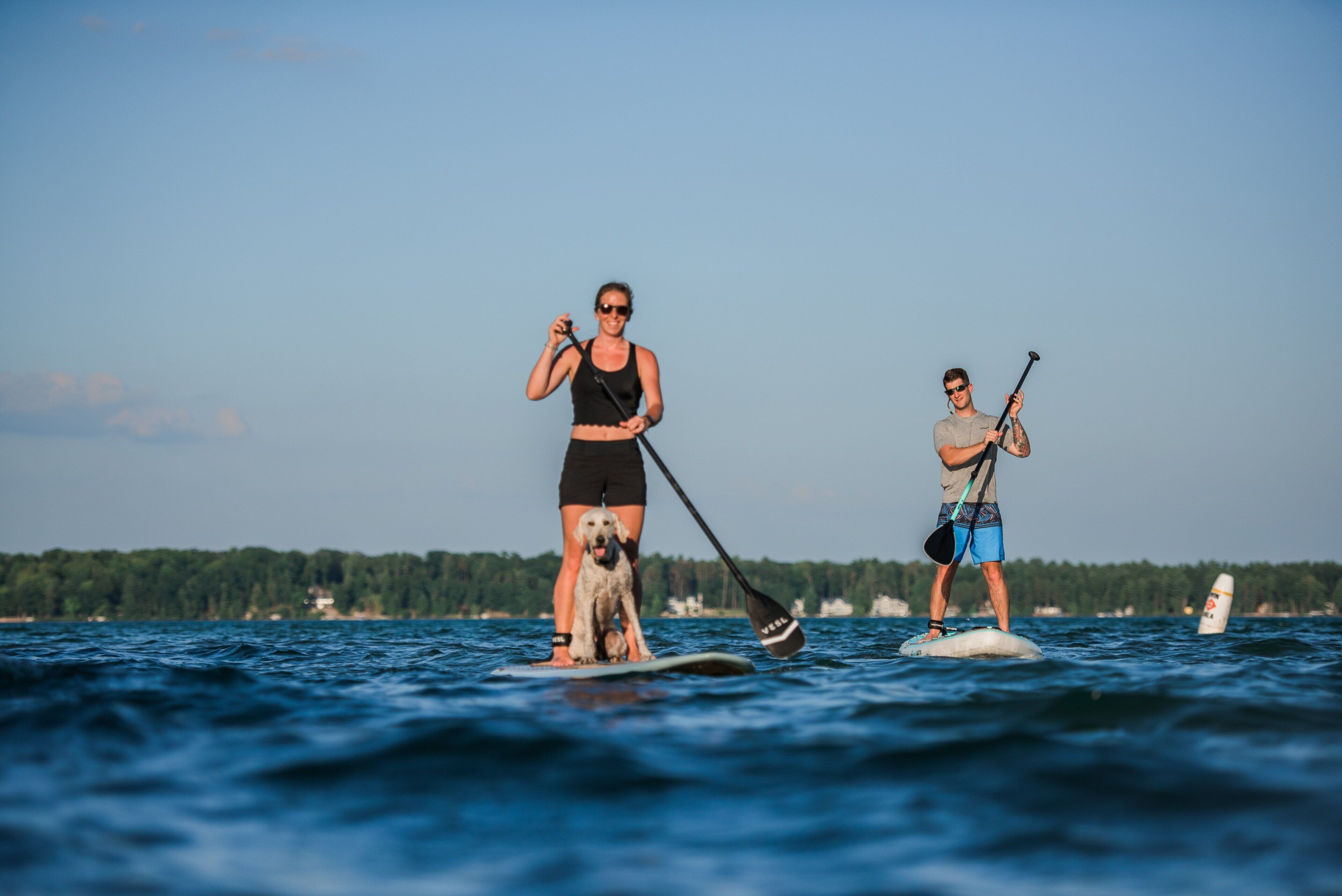 Dos personas en tablas de remo en un cuerpo de agua con una orilla boscosa al fondo.