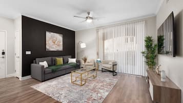 Smart TV, computer monitors