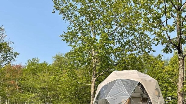 Una estructura de domo geodésico con base de madera, rodeada de abundante vegetación y árboles.