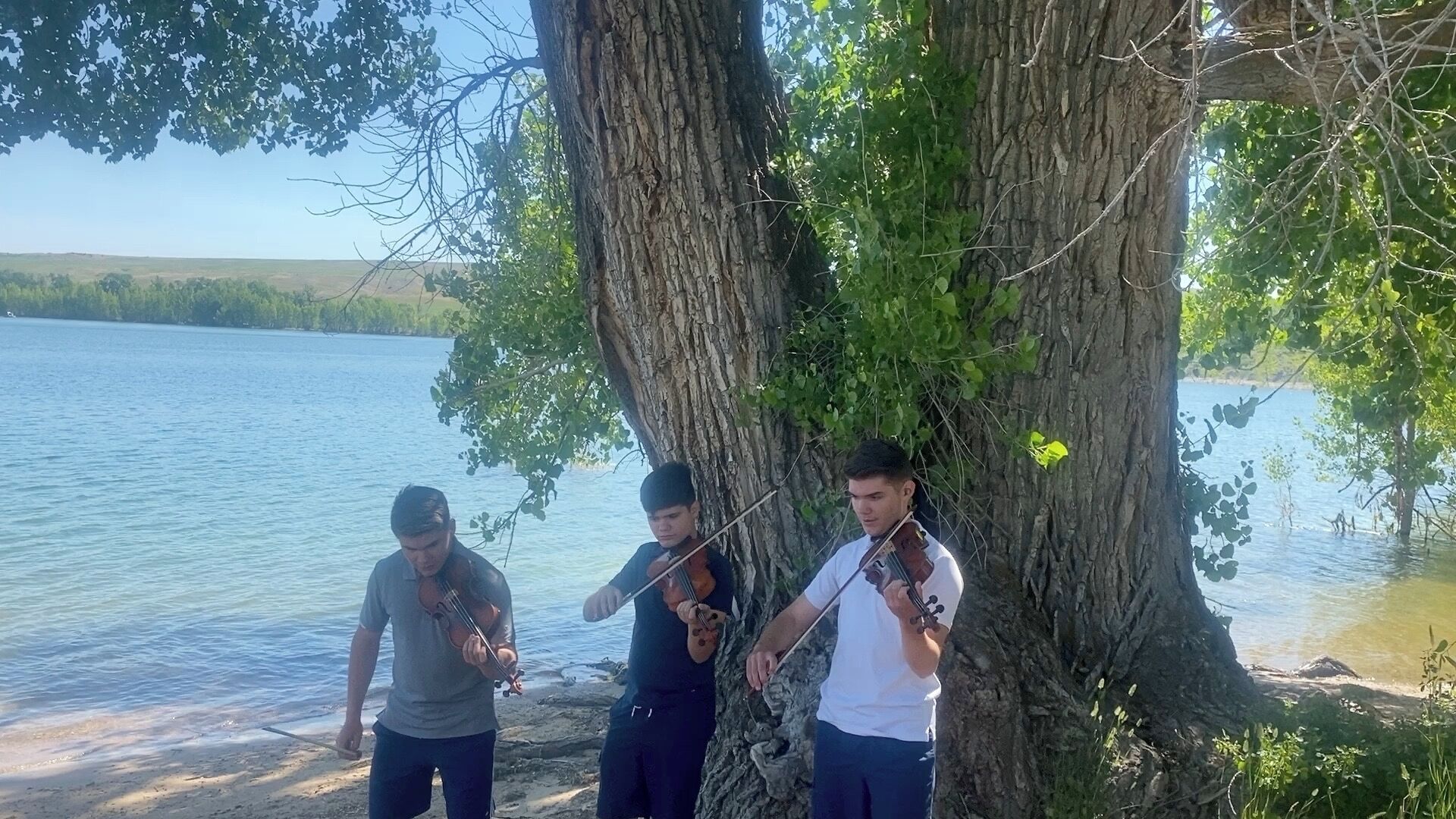 Tres persones tocant instruments de corda prop d'un llac, sota un arbre.