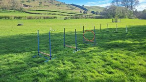 A grassy field with a series of blue and pink poles and a red hoop, likely for equestrian training. - 2 bedroom accommodation in New Radnor, near Presteigne (New Radnor, near Presteigne)
