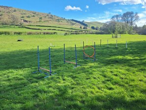 A grassy field with a series of blue and pink poles and a red hoop, likely for equestrian training. - 2 bedroom accommodation in New Radnor, near Presteigne (New Radnor, near Presteigne)