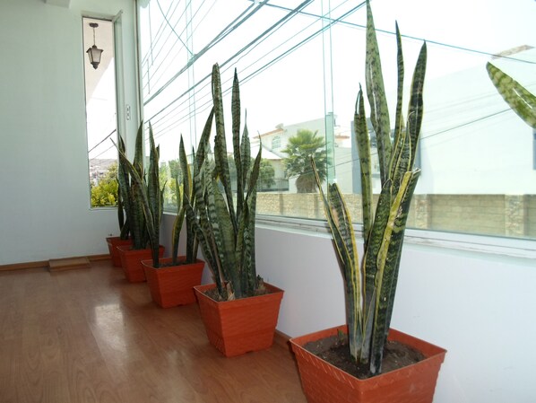 Interior - Hotel María Bonita (Tlaxcala)