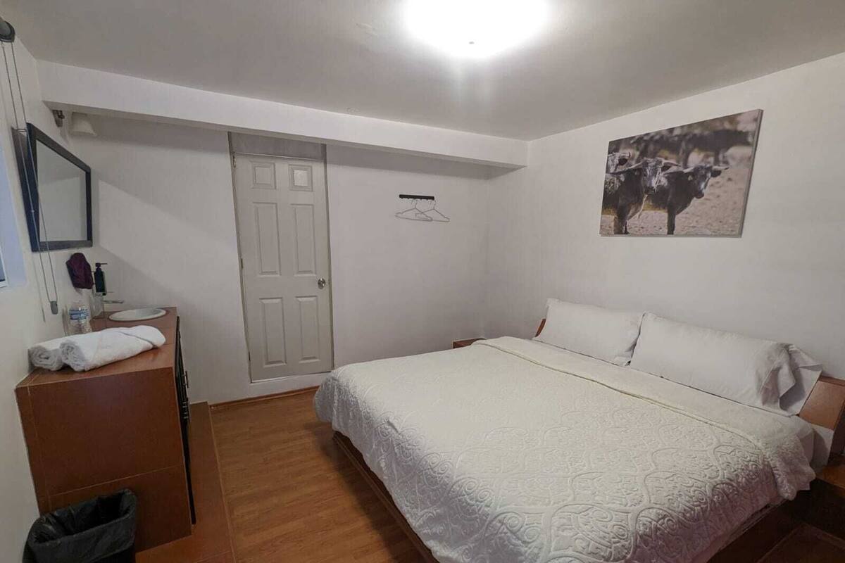 Un dormitorio con cama, cómoda, espejo, una puerta y un cuadro colgado en la pared.