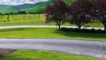 Signature Suite | Individually decorated, individually furnished, iron/ironing board