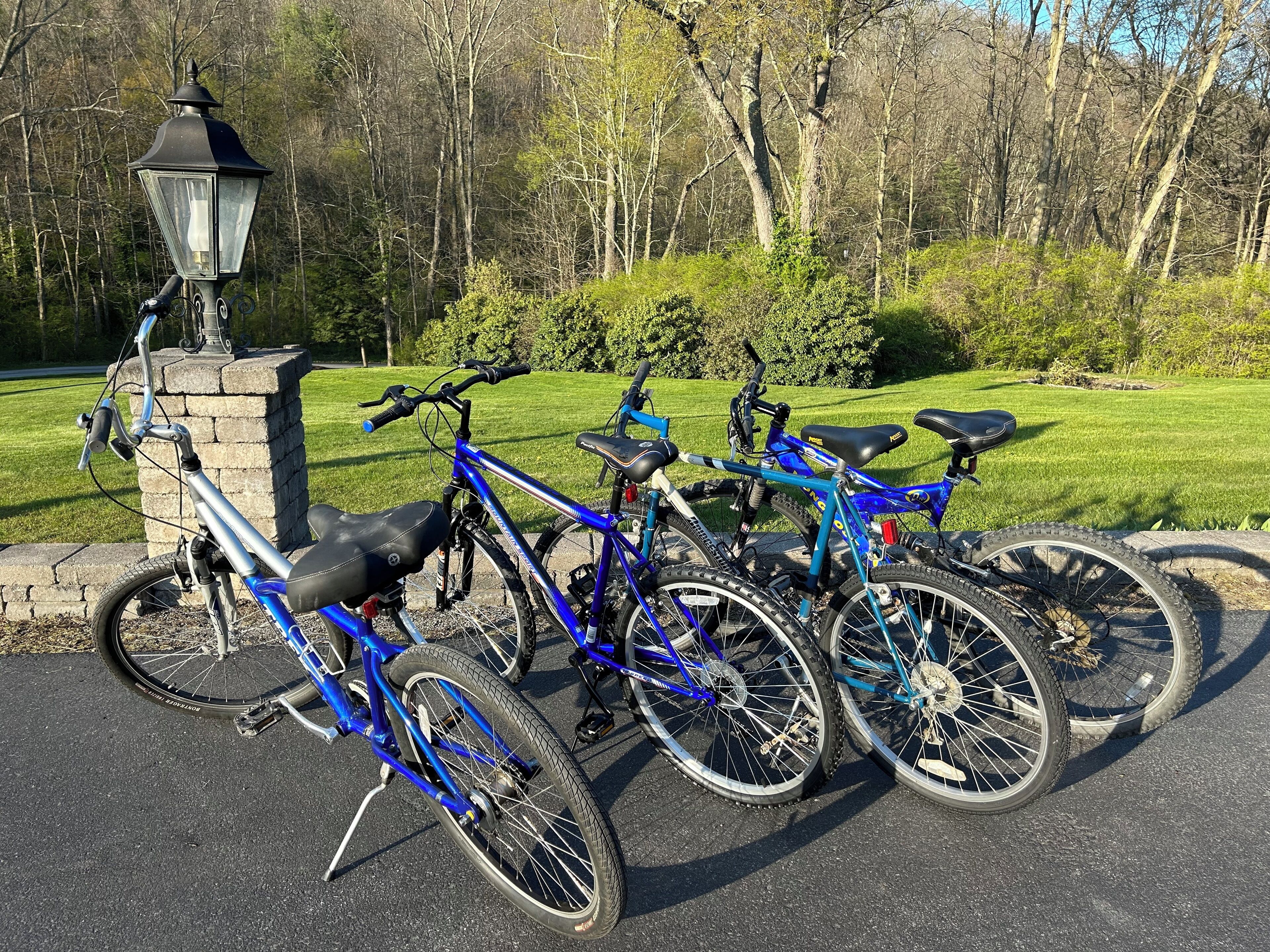 Række af cykler parkeret i en park med en støbejernslyspæl og græs i baggrunden.