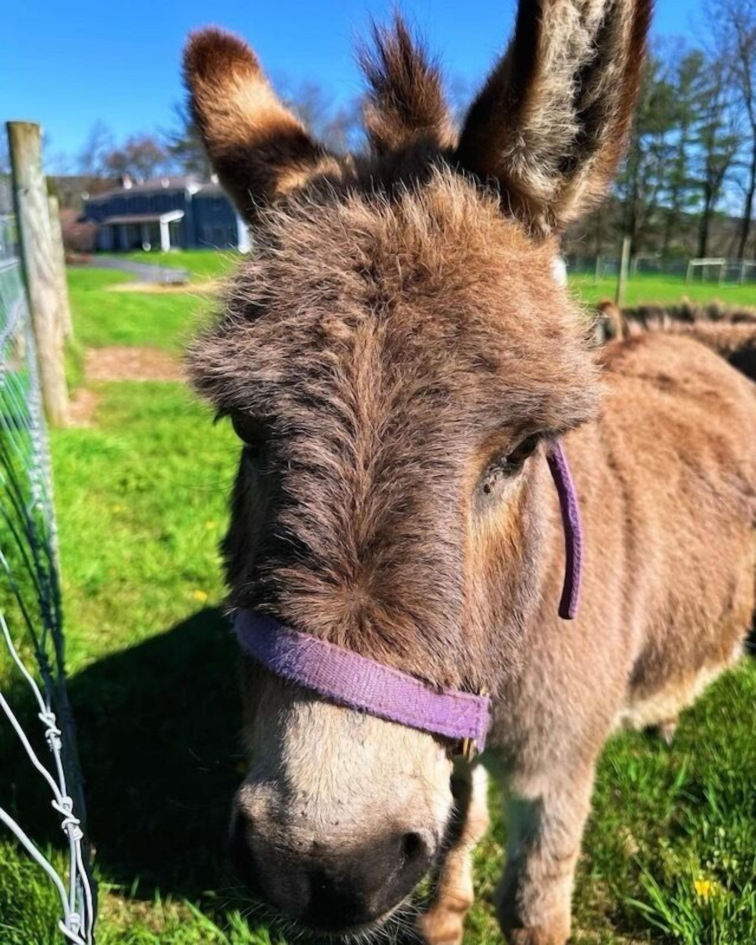 บริเวณภายนอก