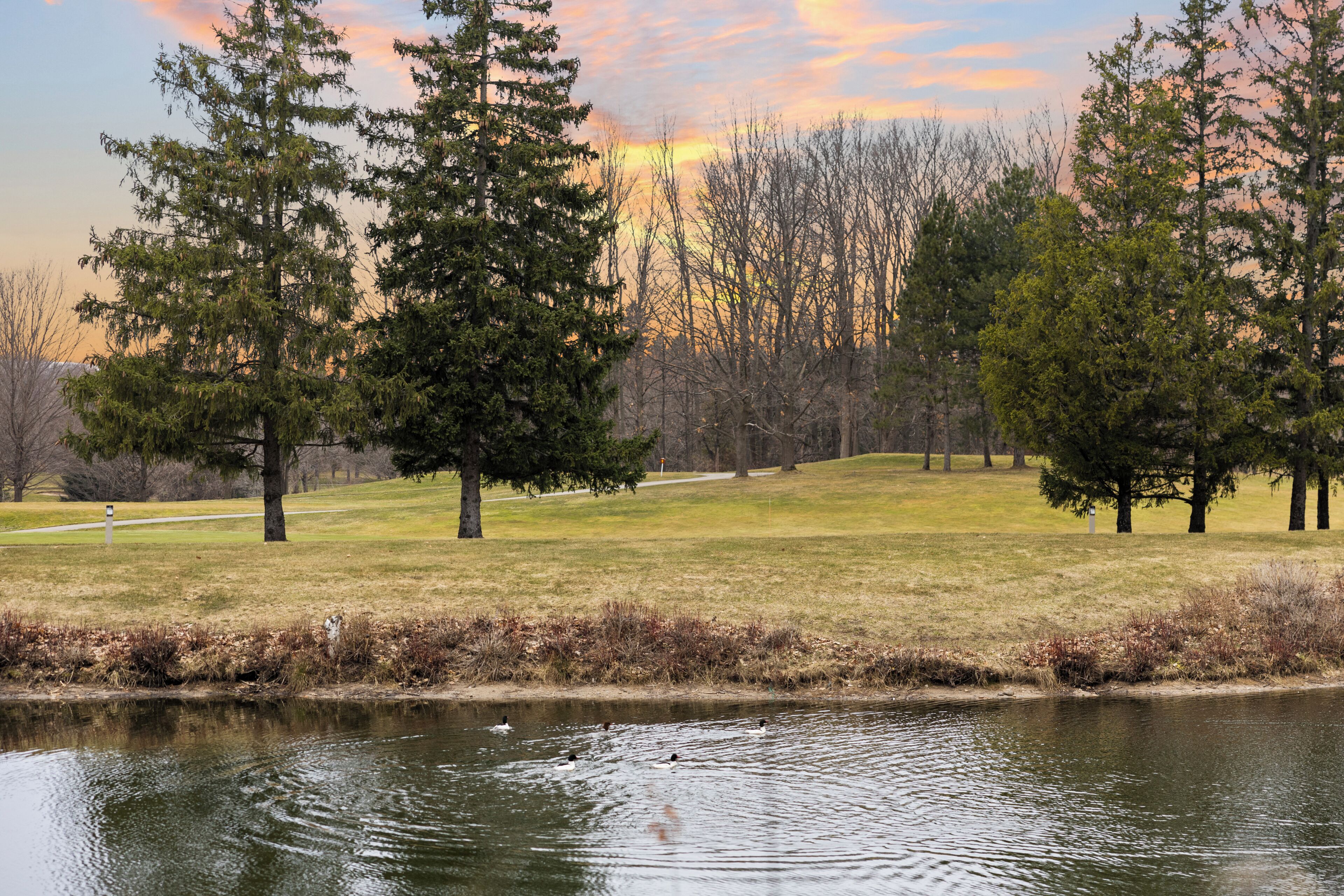 A serene lakeside setting with trees, a grassy area, and a calm water body.