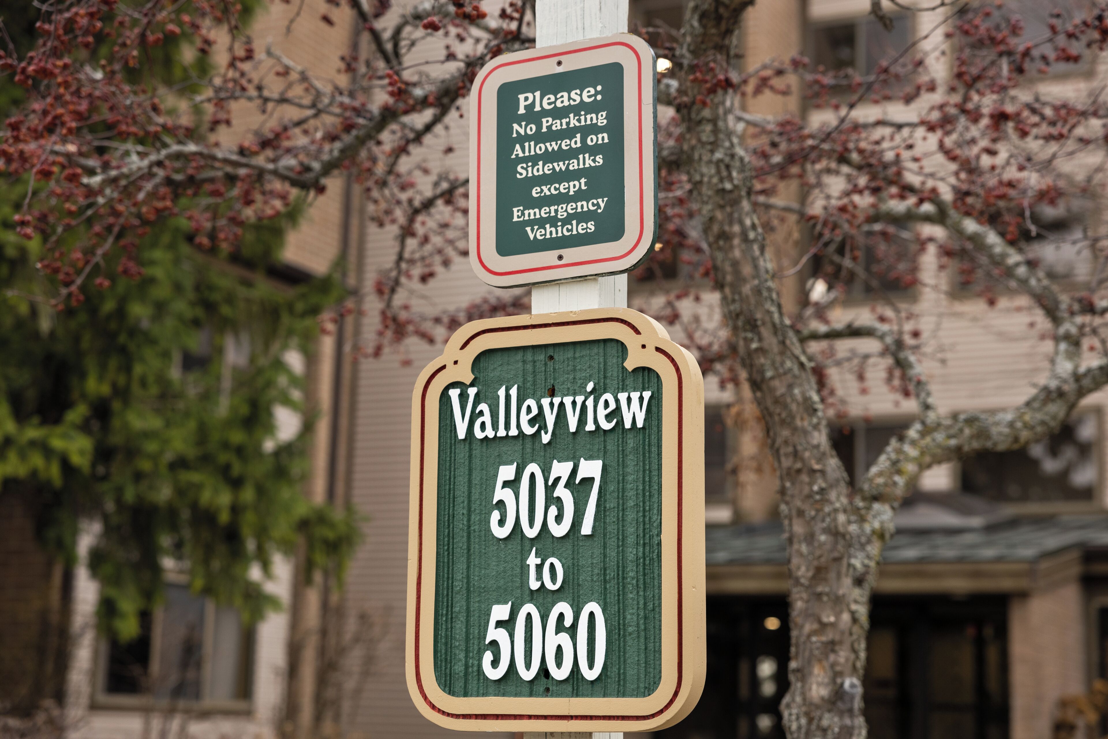 A street sign with 'Valleyview 5037 to 5060' and a smaller sign above it stating 'No Parking Allowed on Sidewalks except Emergency Vehicles.'