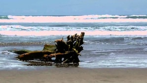 Un pedazo de madera a la deriva sobre una playa arenosa, con olas al fondo.