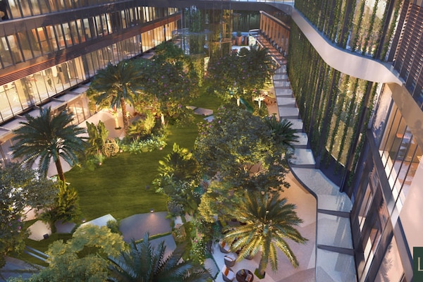 Garden