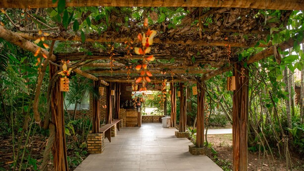A covered walkway with benches and hanging decorations, surrounded by lush greenery. - Hotel Fazenda Mirage (Conceição de Jacuípe)