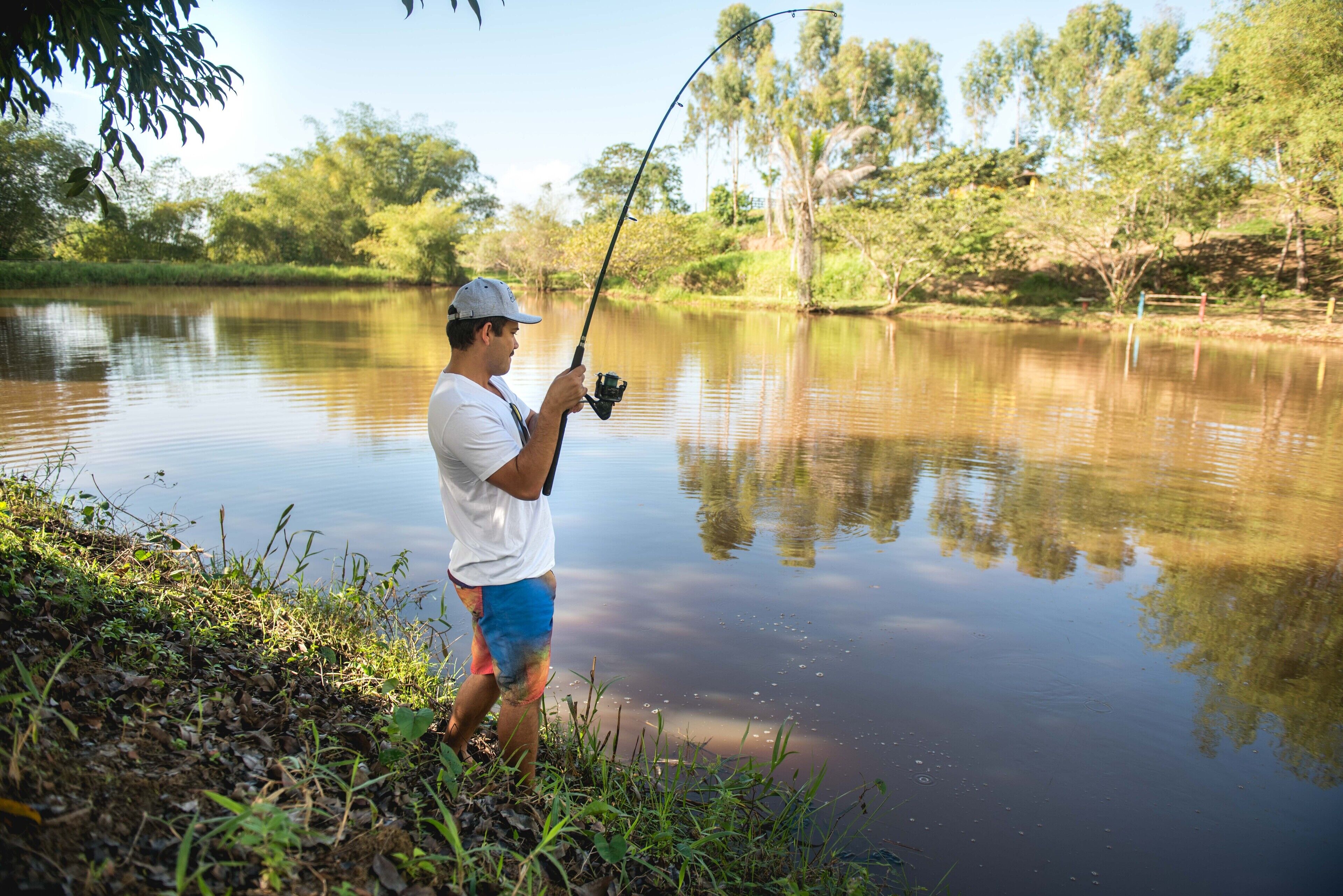 Um homem pesca num lago calmo rodeado de vegetação.
