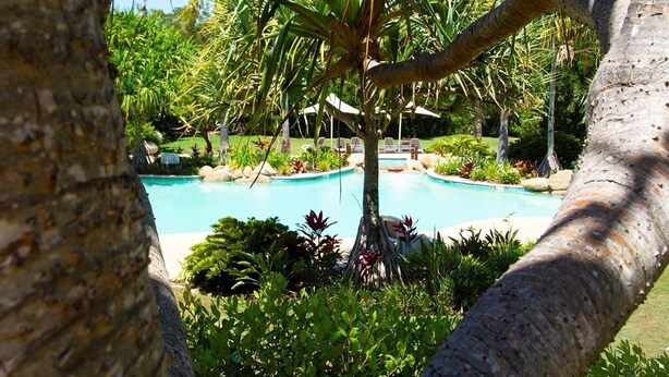Una piscina rodeada de exuberante vegetación y palmeras.