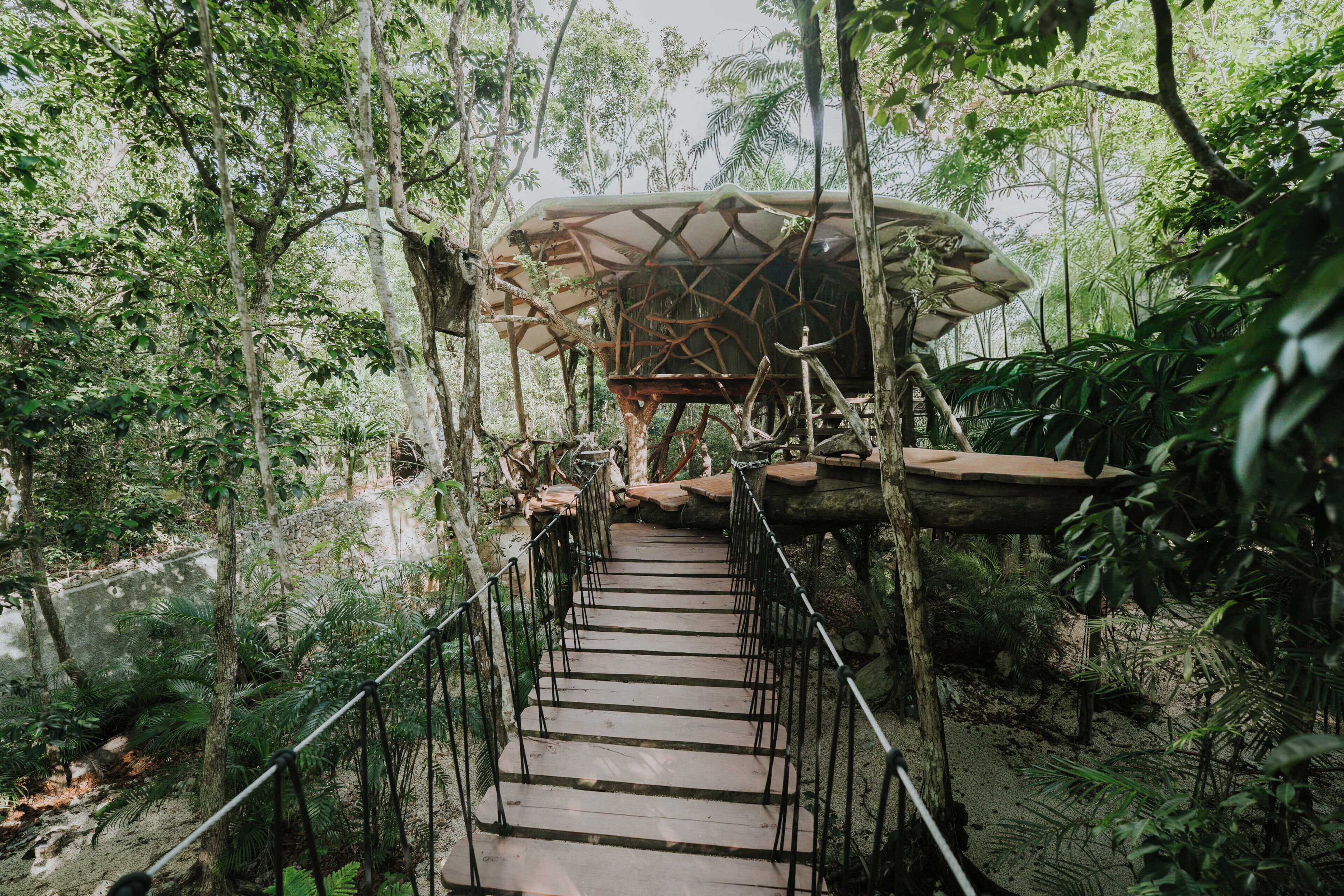 A wooden bridge with railings leading to a covered wooden structure amidst a forest.