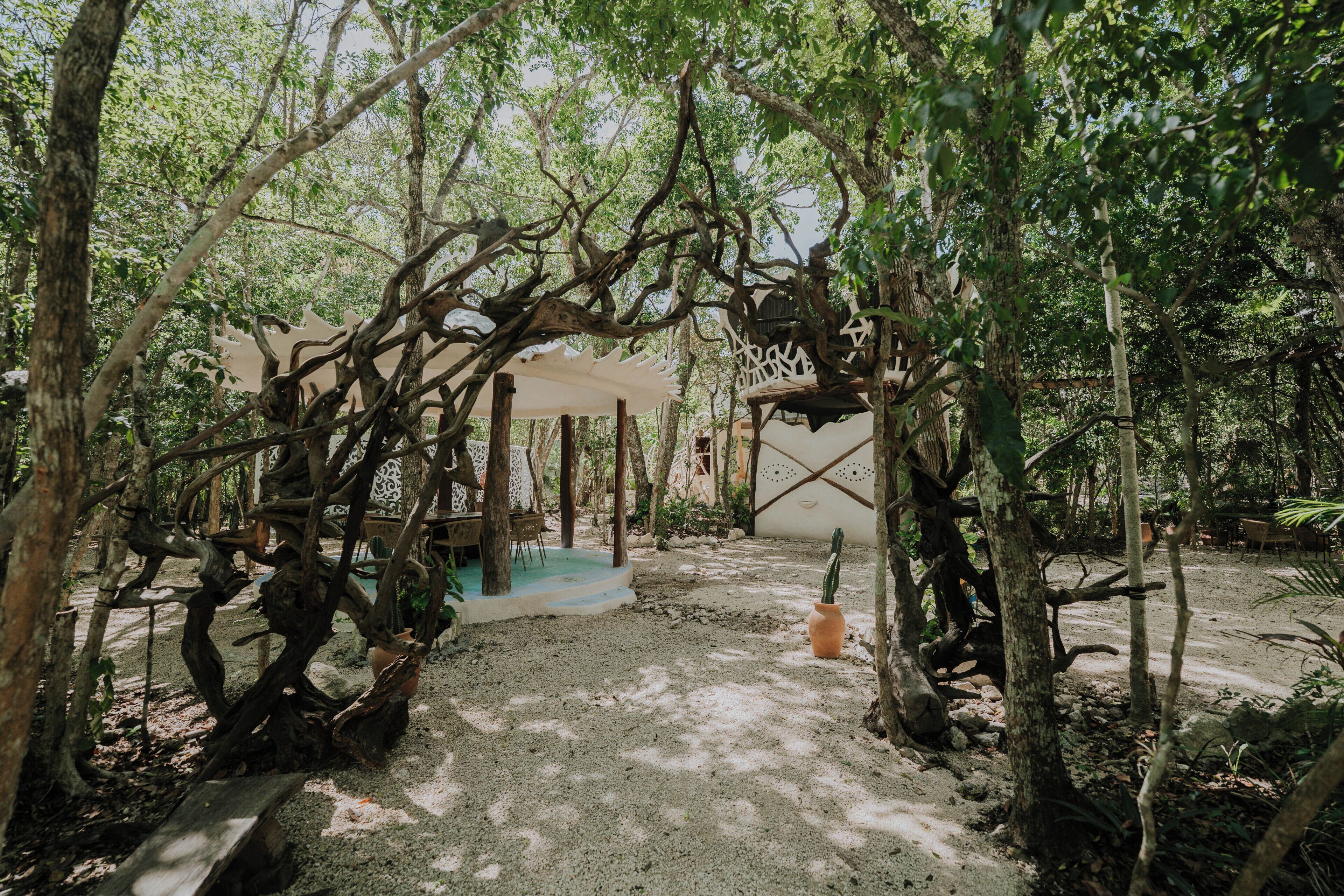 A rustic outdoor seating area with a wooden table and chairs, surrounded by trees and a decorative white structure.