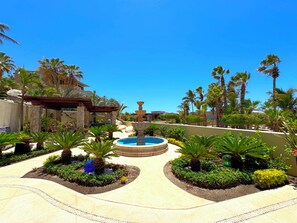 A resort pool area with a central fountain, surrounded by palm trees and a stone wall.