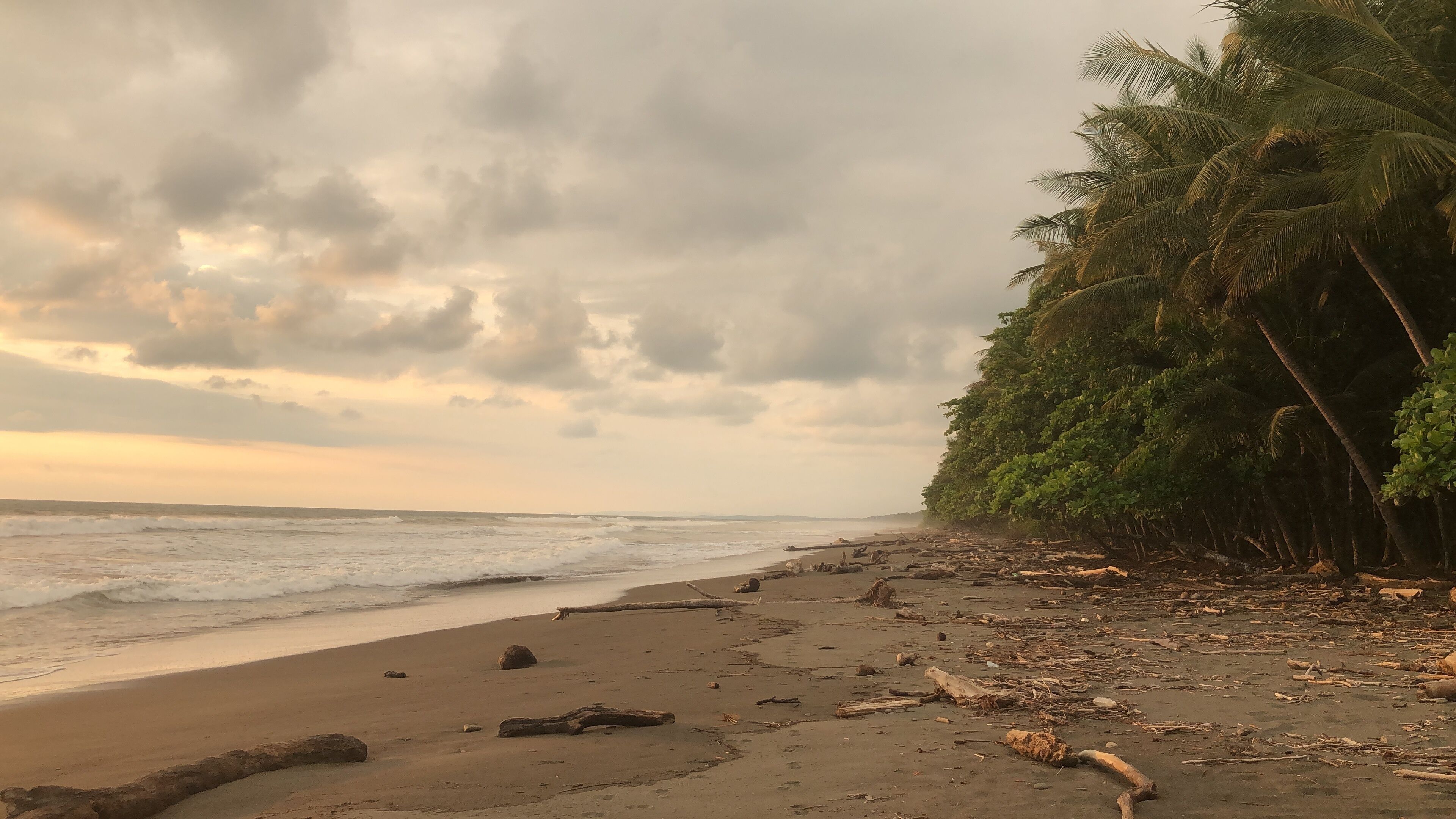 Chaises longues, serviettes de plage