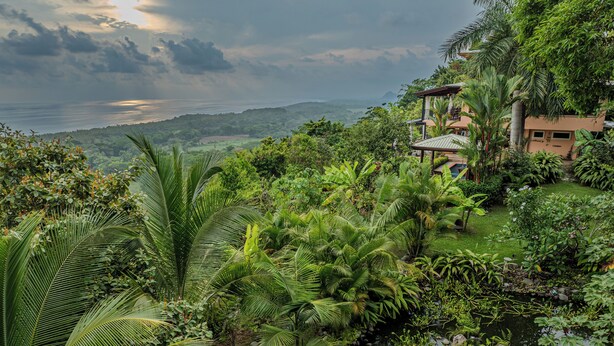 A lush garden with a pond, palm trees, and a building with a roofed patio area.
