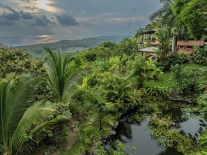 Un jardín exuberante con un estanque, palmeras y un edificio con un patio techado.